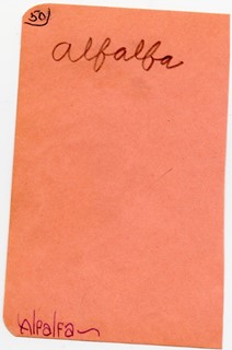 Alfalfa autograph