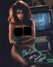Elan Carter