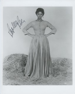 Sophia Loren autograph